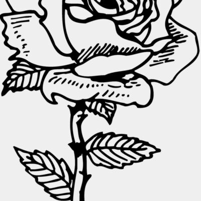 FLOWER04 Thumbnail