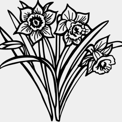 FLOWER26 Thumbnail