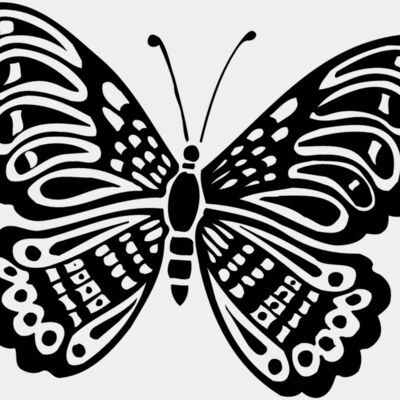 Butterflies Thumbnail